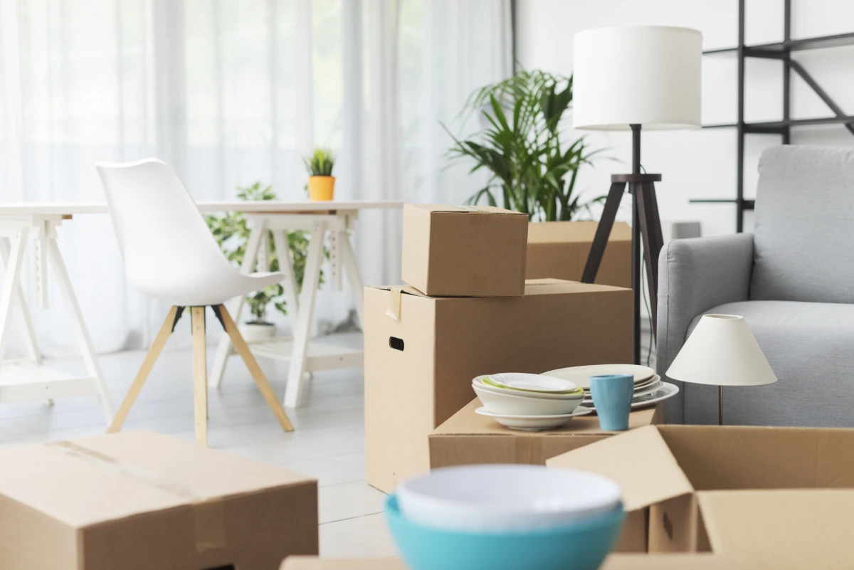 Démographie et marché immobilier : décryptage d'un lien étroit